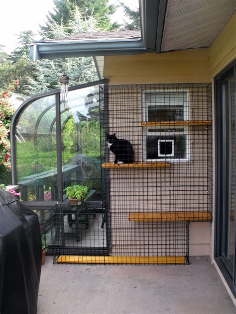 outdoor metal cat enclosure|outdoor cat enclosures with shelves.